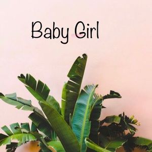 Gently Used or new Baby Girl items